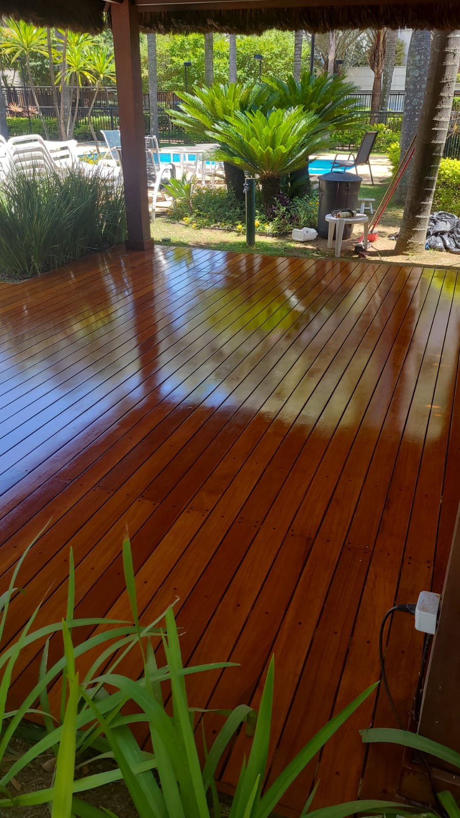 WhatsApp Image 2024-12-04 at 13.07.43.jpeg